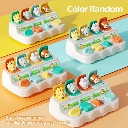 Montessori Pop-Up Animal Toys & Learning Boxes – Enhance Logic & Motor Skills for Kids